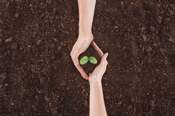 two hands holding soil with plant sprout depicting environmental-friendly propane