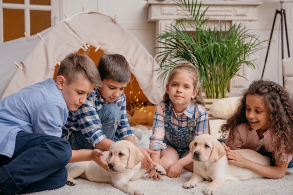 image of 4 children with 2 dogs