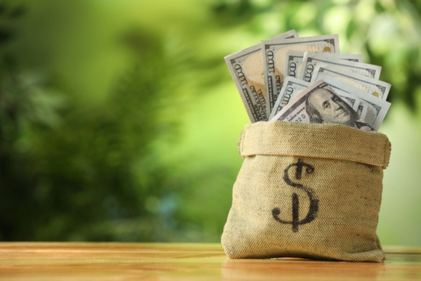 money bag with dollar sign and bills inside depicting Financial Advantages